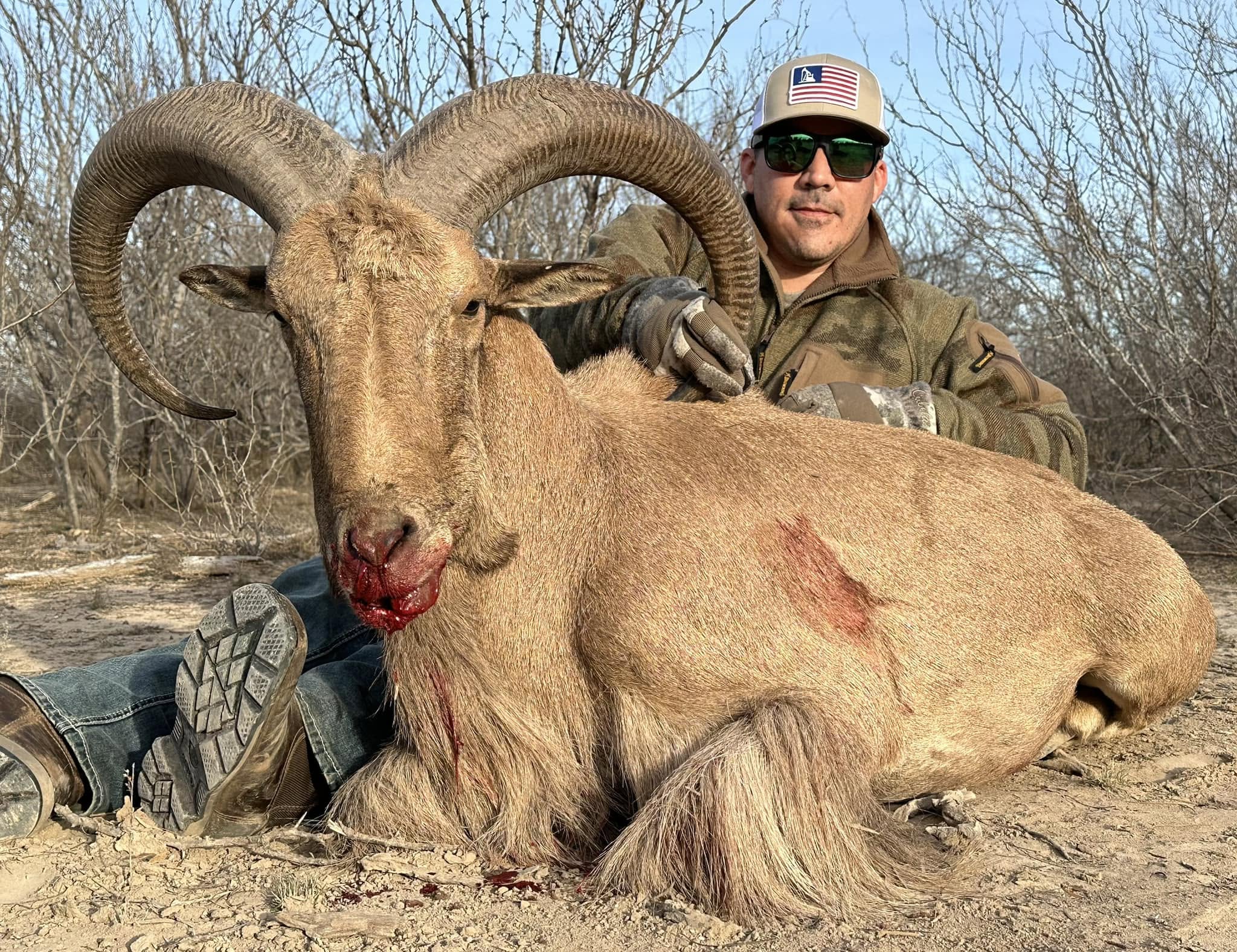 AOUDAD