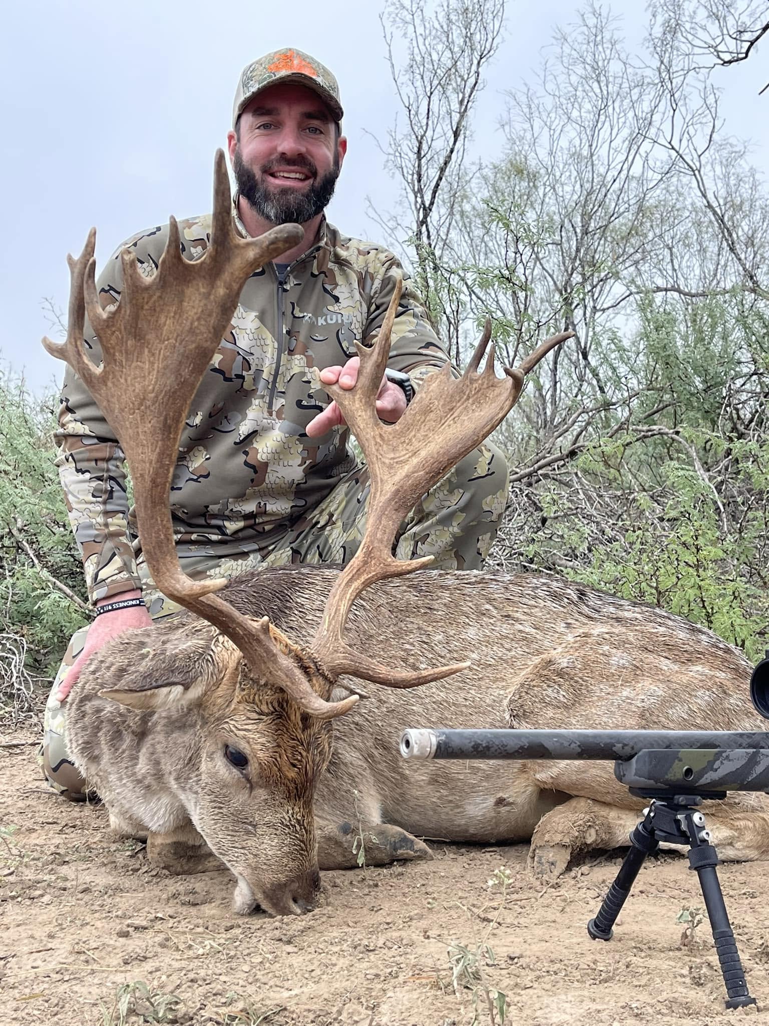 FALLOW DEER